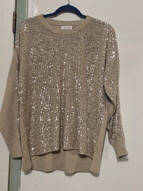 Calvin Klein Beige Sequin Accent Crewneck Sweater